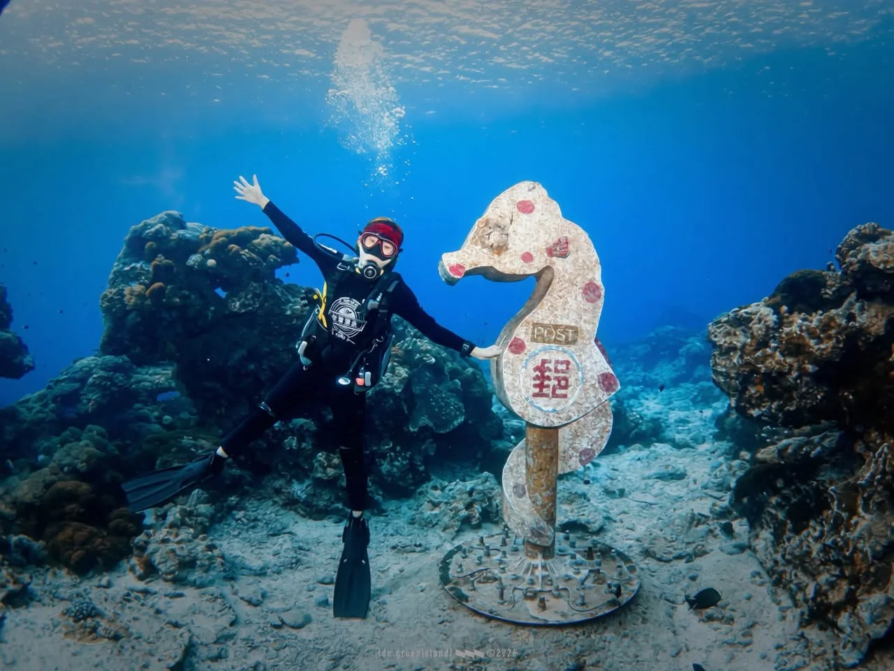 綠島潛水時的海底景色（3）
